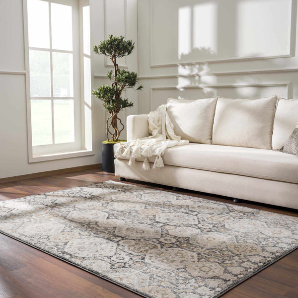 Rugs & Carpets