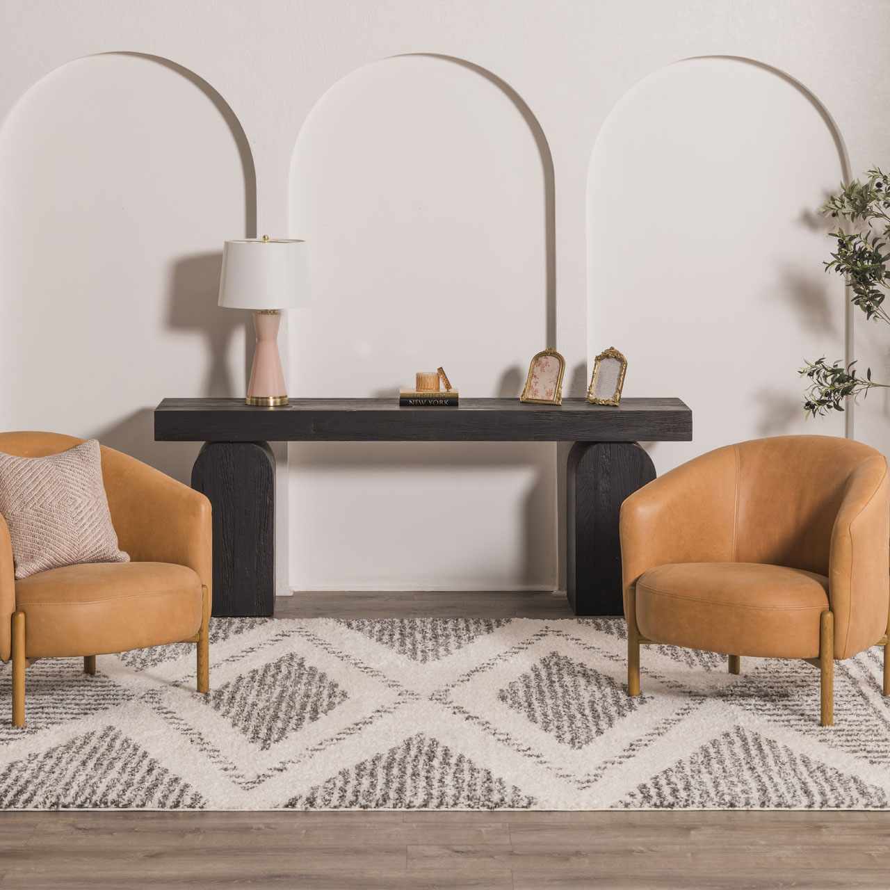 Trunding Plush Area Rug for Cozy Indoor Spaces