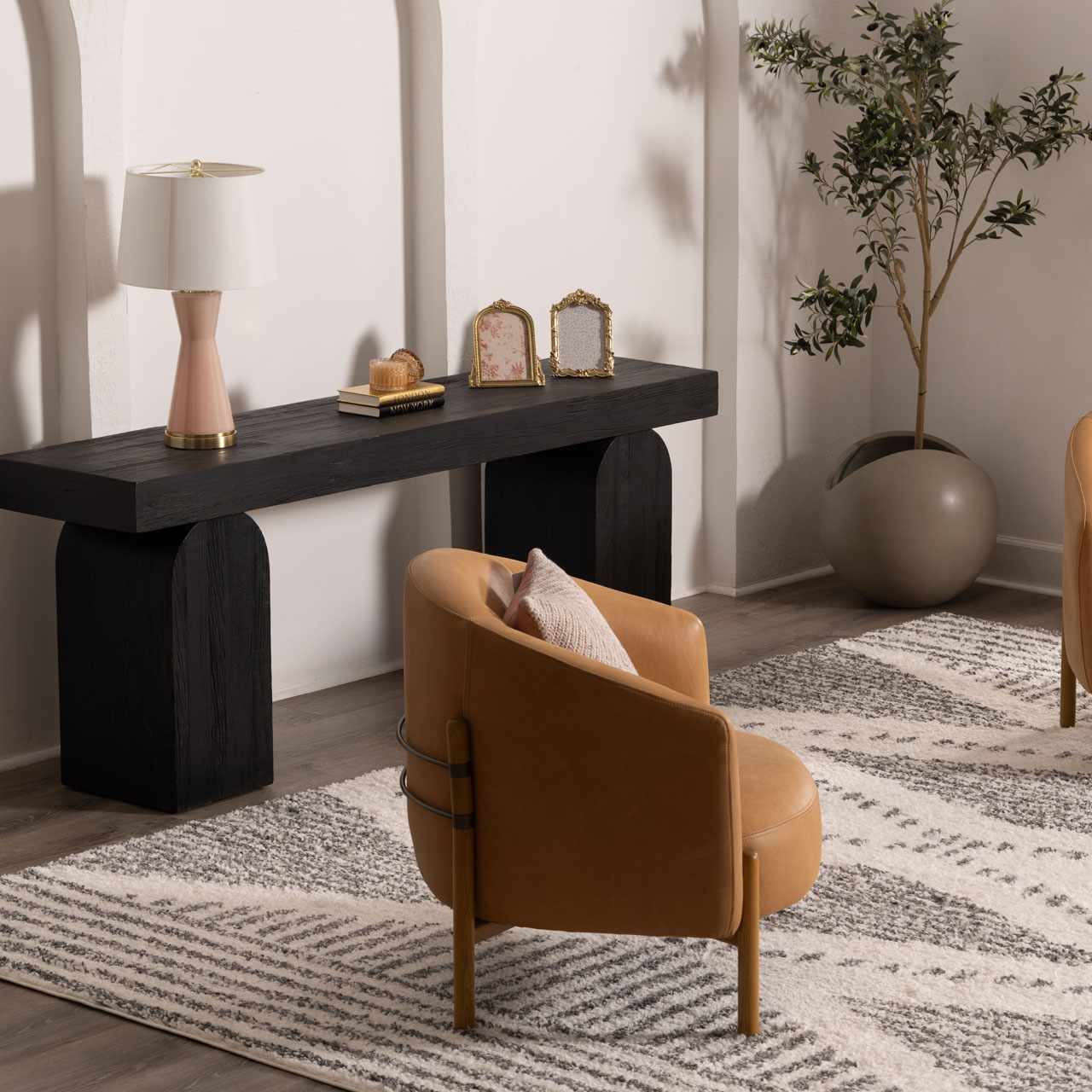 Trunding Plush Area Rug for Cozy Indoor Spaces