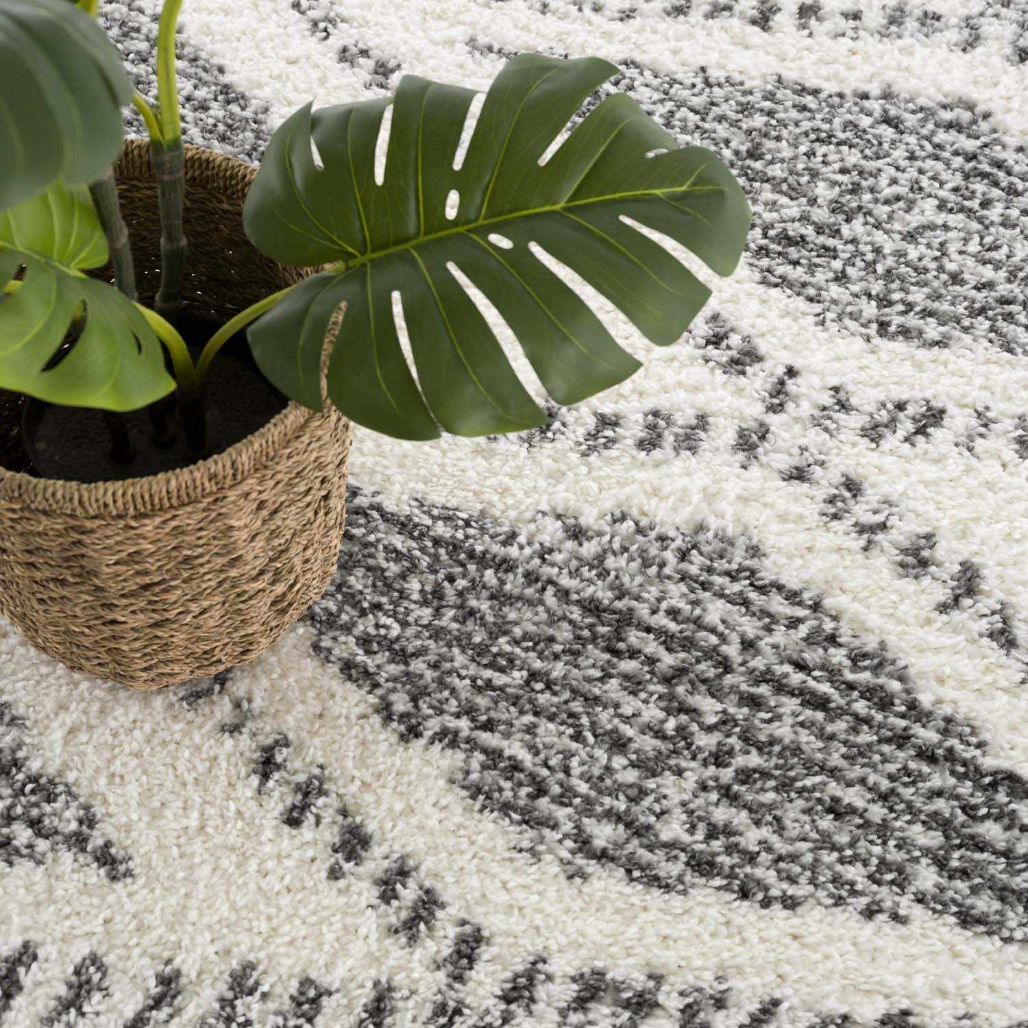 Trunding Plush Area Rug for Cozy Indoor Spaces