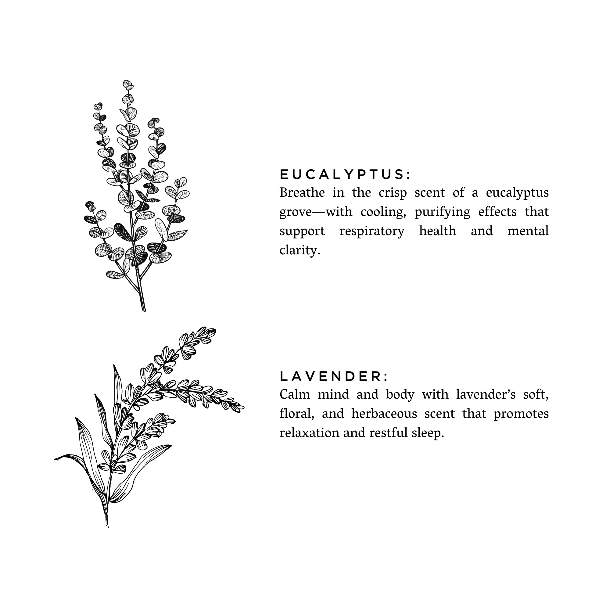 Eucalyptus Lavender Signature Soy Candle for Relaxation