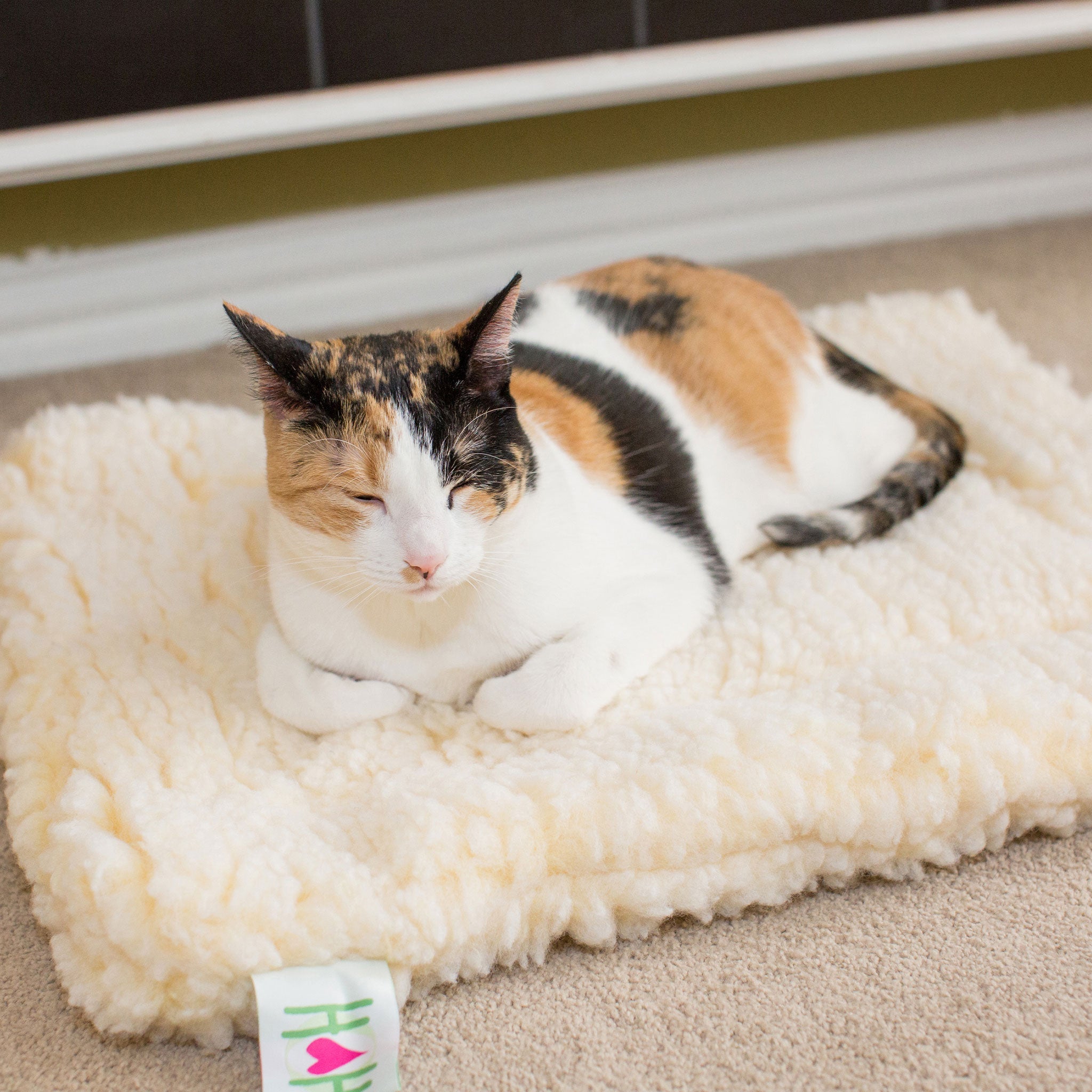 HuggleFleece® Mat Cat & Dog Bed