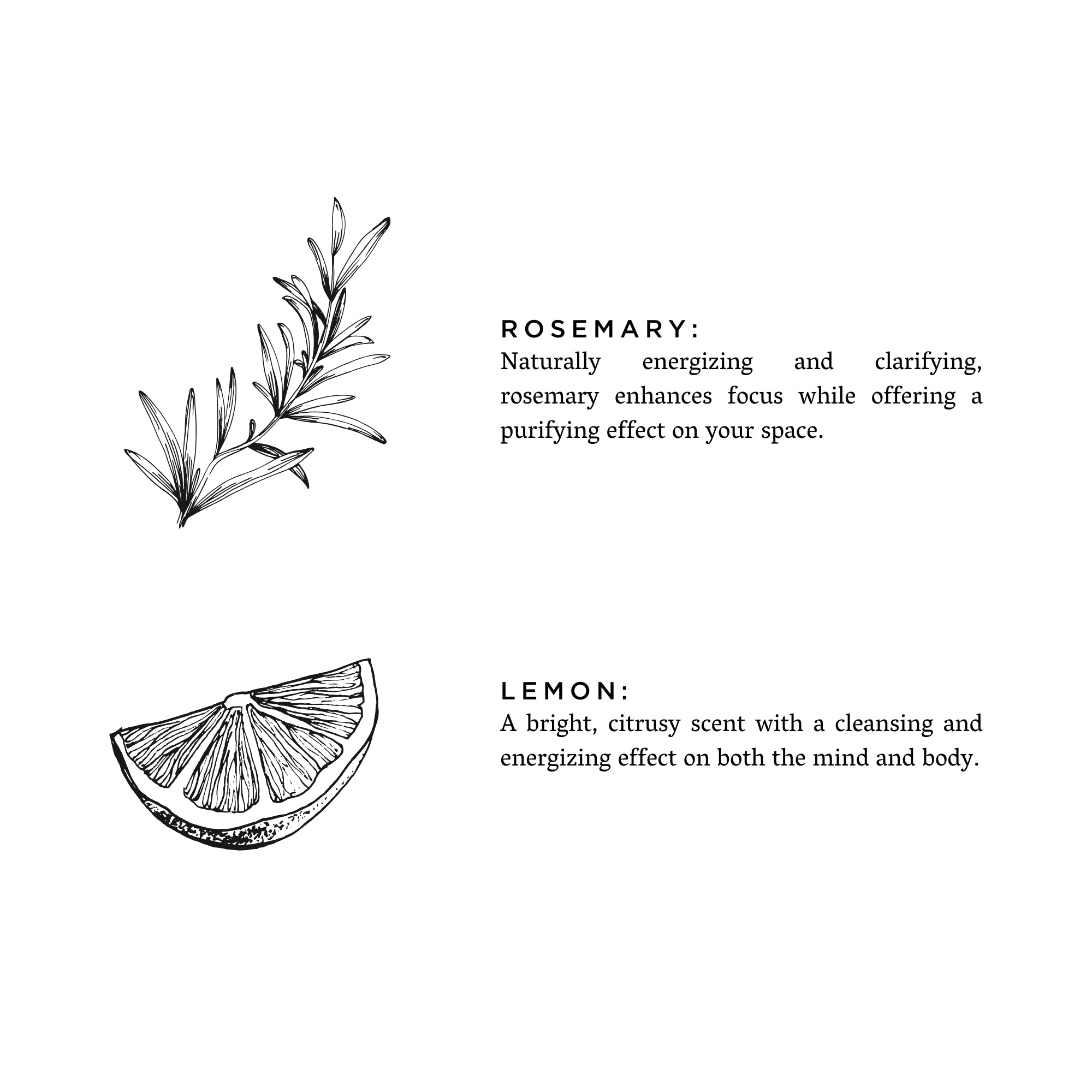 Rosemary Lemon Signature Candle for Fresh Home Fragrance