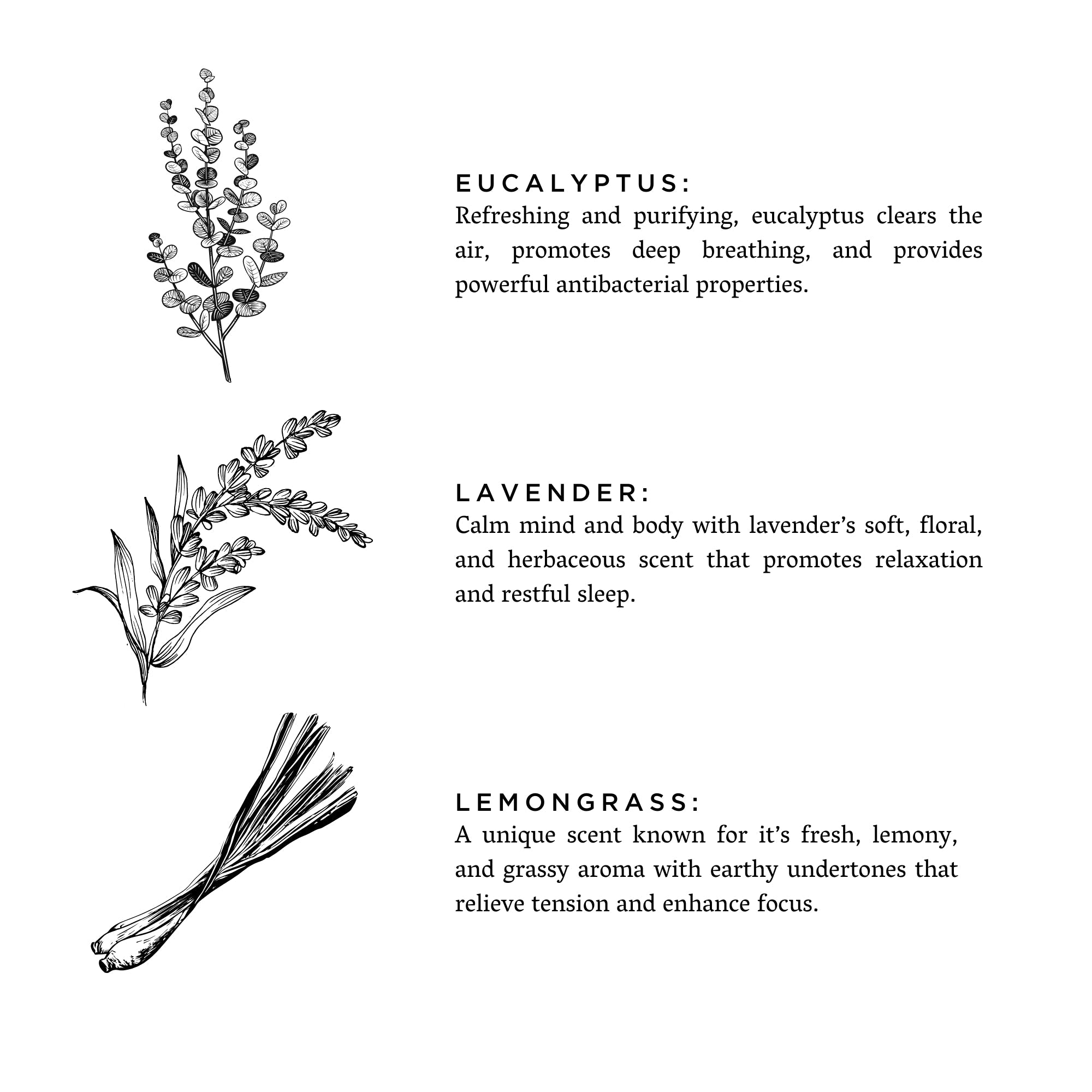 Shangri-La Eucalyptus Lavender Lemongrass Reed Diffuser