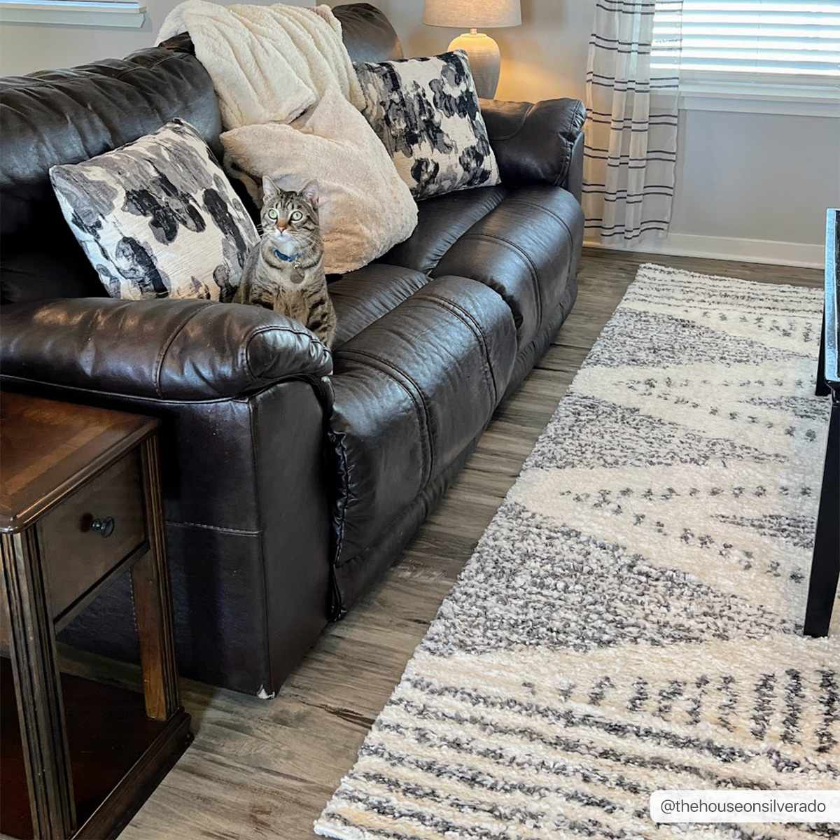 Trunding Plush Area Rug for Cozy Indoor Spaces