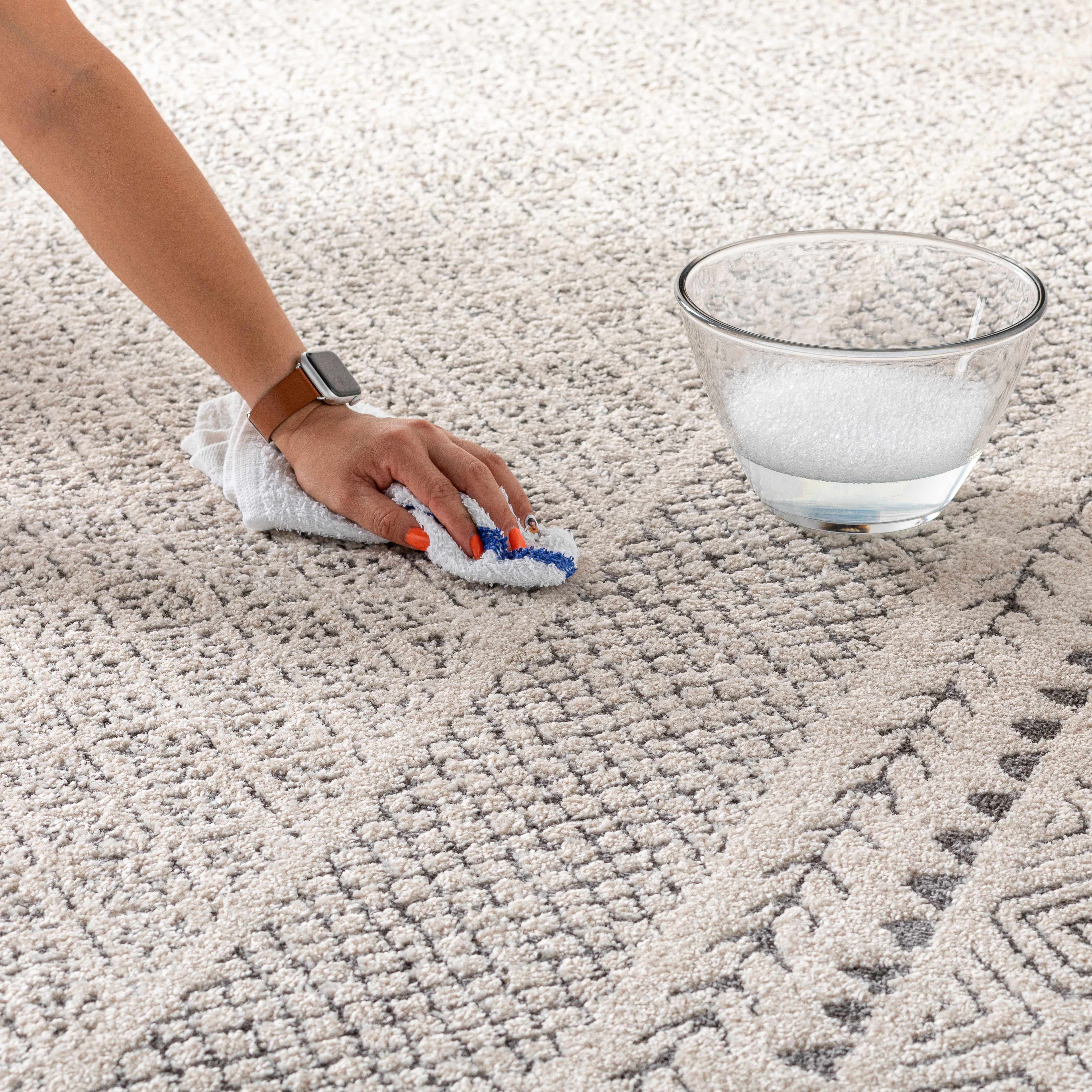 Burdette Soft Neutral Area Rug for Modern Homes