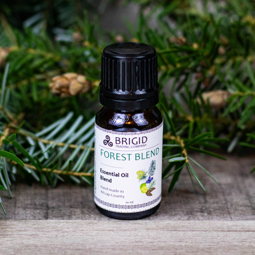 Premium Essential Oil Diffuser Blends for Home Fragrance