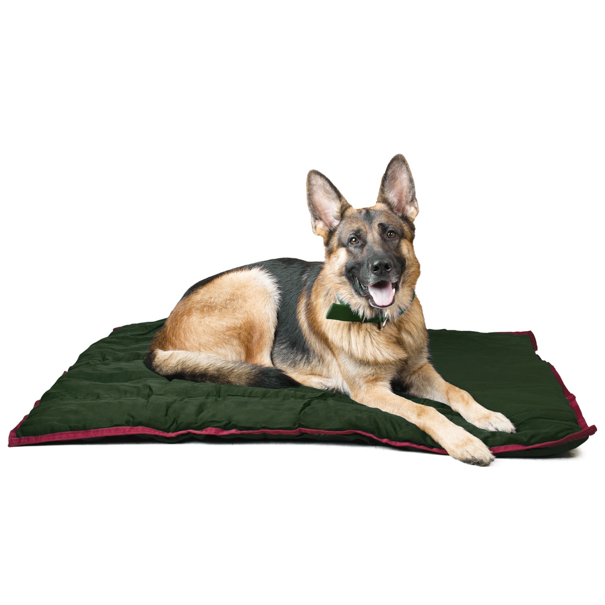 Jeffers Pet Washable Comfy Dog Pillow for Crates, Carriers, or Lounging